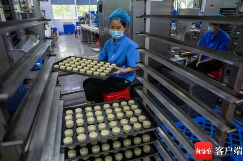 中秋月餅飄香忙 海口食品廠開足馬力備戰(zhàn)佳節(jié)